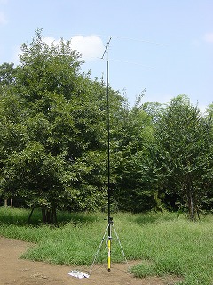 アマチュア無線ホームページ CQCQCQ.ORG 50MHz 2ele位相給電